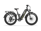 Wild Cat Ultra A-340 Ebike