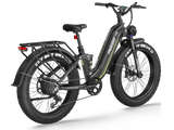 Wild Cat Ultra A-340 Ebike