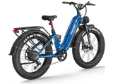 Wild Cat Ultra A-340 Ebike