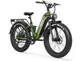 Wild Cat Ultra A-340 Ebike
