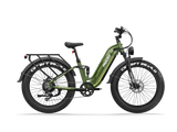 Wild Cat Ultra A-340 Ebike
