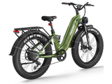 Wild Cat Ultra A-340 Ebike