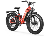 Wild Cat Ultra A-340 Ebike