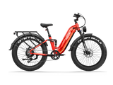 Wild Cat Ultra A-340 Ebike