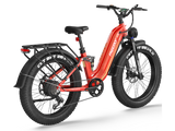 Wild Cat Ultra A-340 Ebike